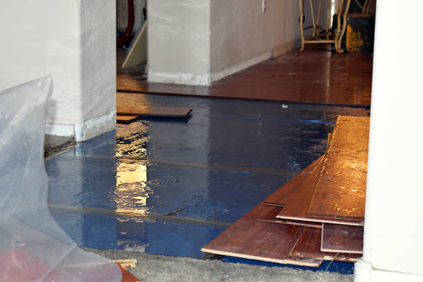 Professional Sewage Cleanup technician working in Richland, MO